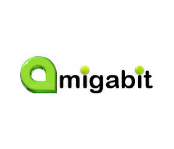 Amigabit Data Recovery